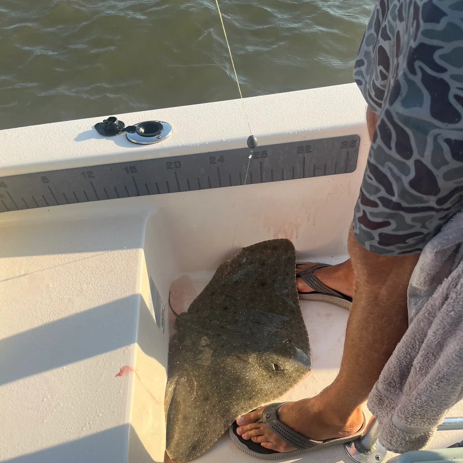 The most recent Backwater butterfly ray catches on Fishbrain
