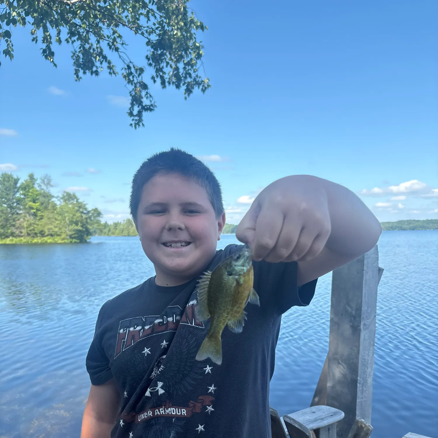 The most recent Bluegill x longear sunfish catches on Fishbrain