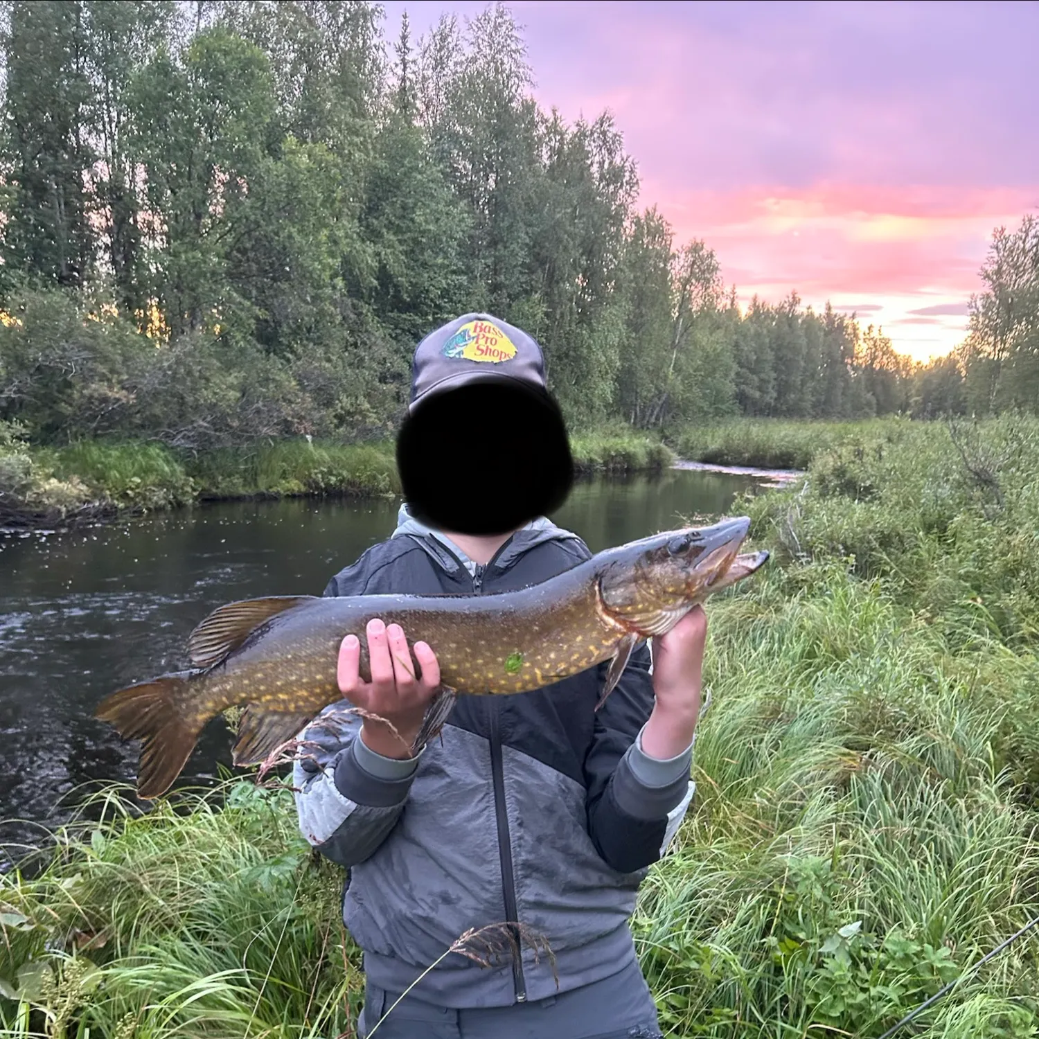 Northern pike caught on Fishbrain