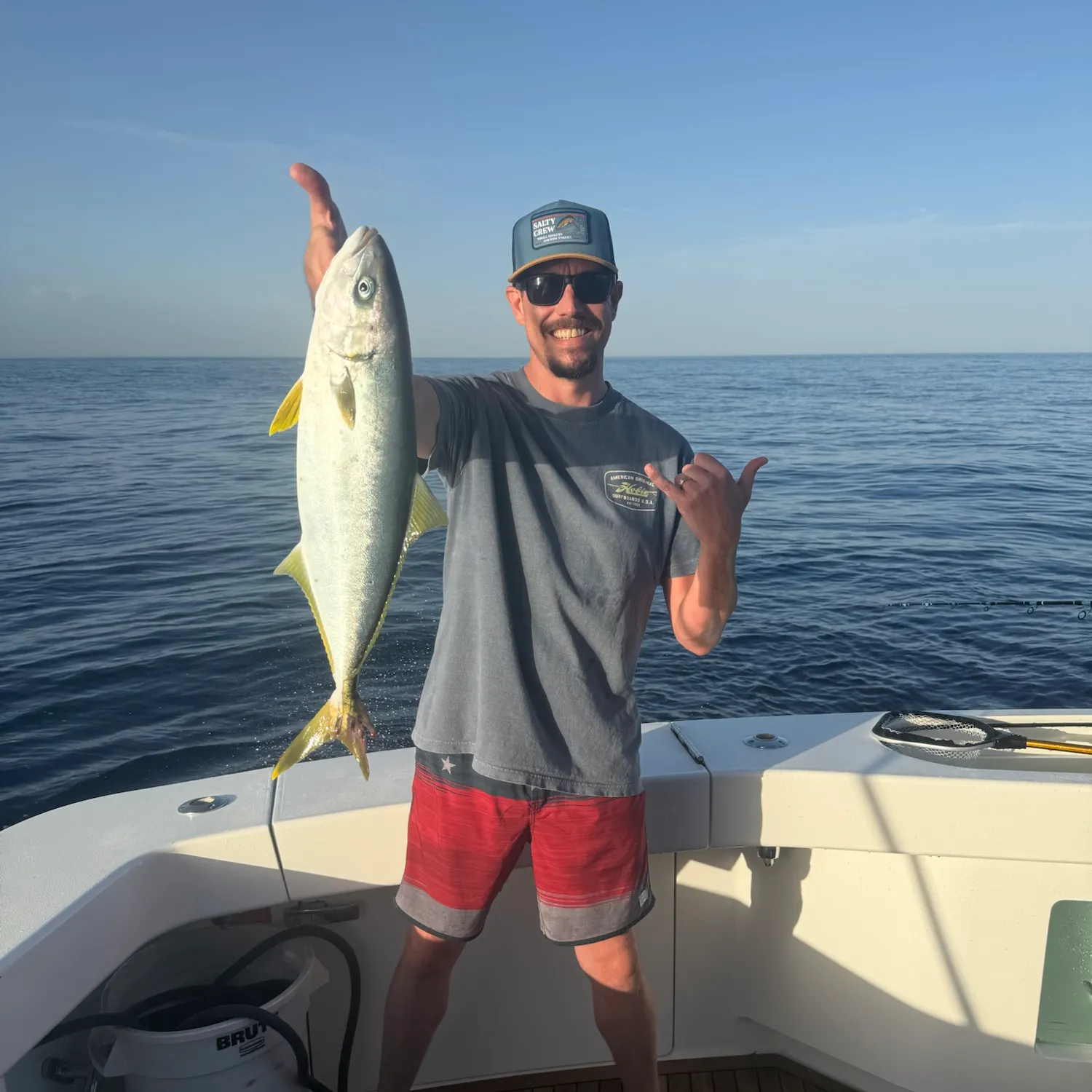 The most recent California yellowtail amberjack catches on Fishbrain