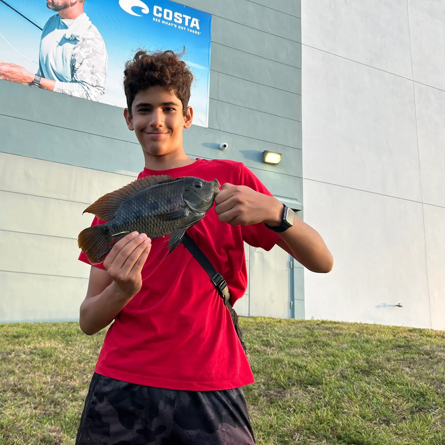 The most recent Spotted tilapia catches on Fishbrain