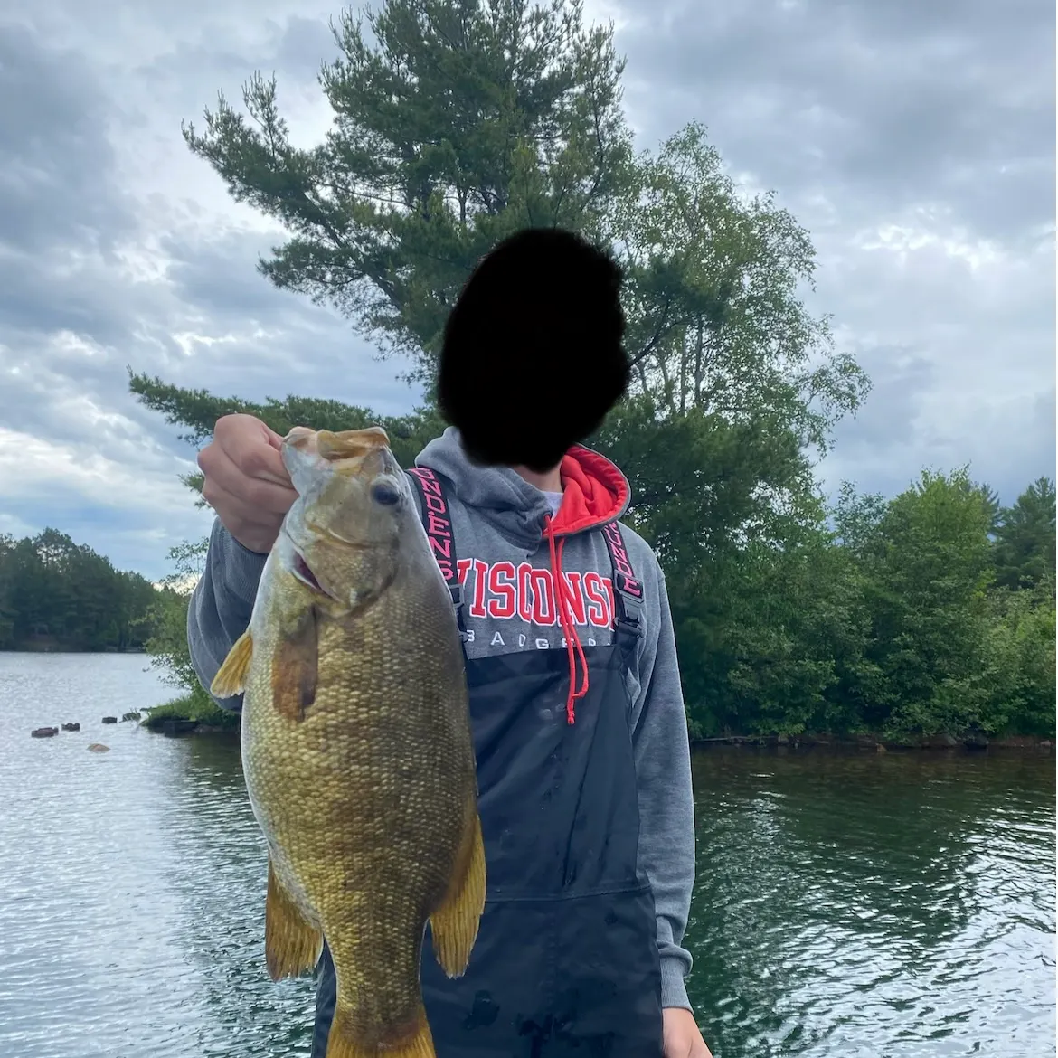 Smallmouth bass caught on Fishbrain