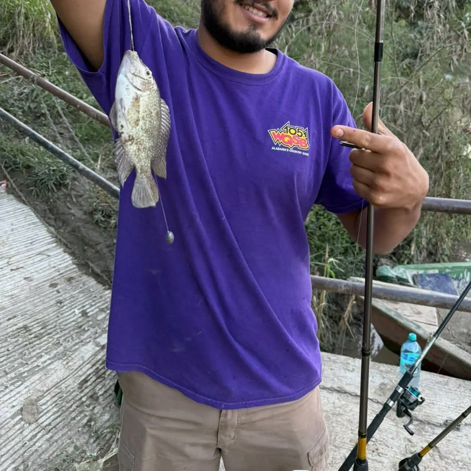 The most recent Rio Grande cichlid catches on Fishbrain