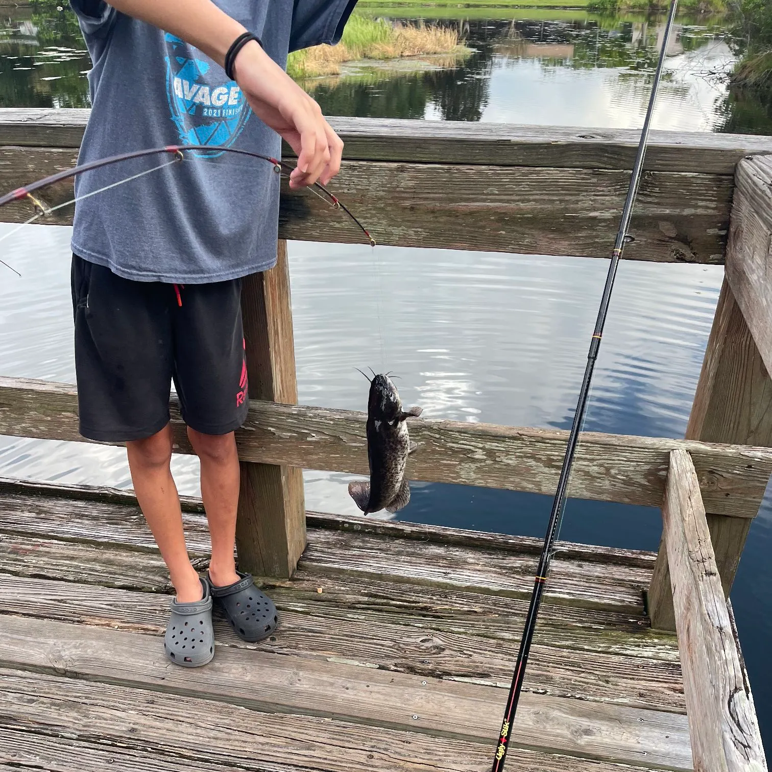 Black bullhead caught on Fishbrain
