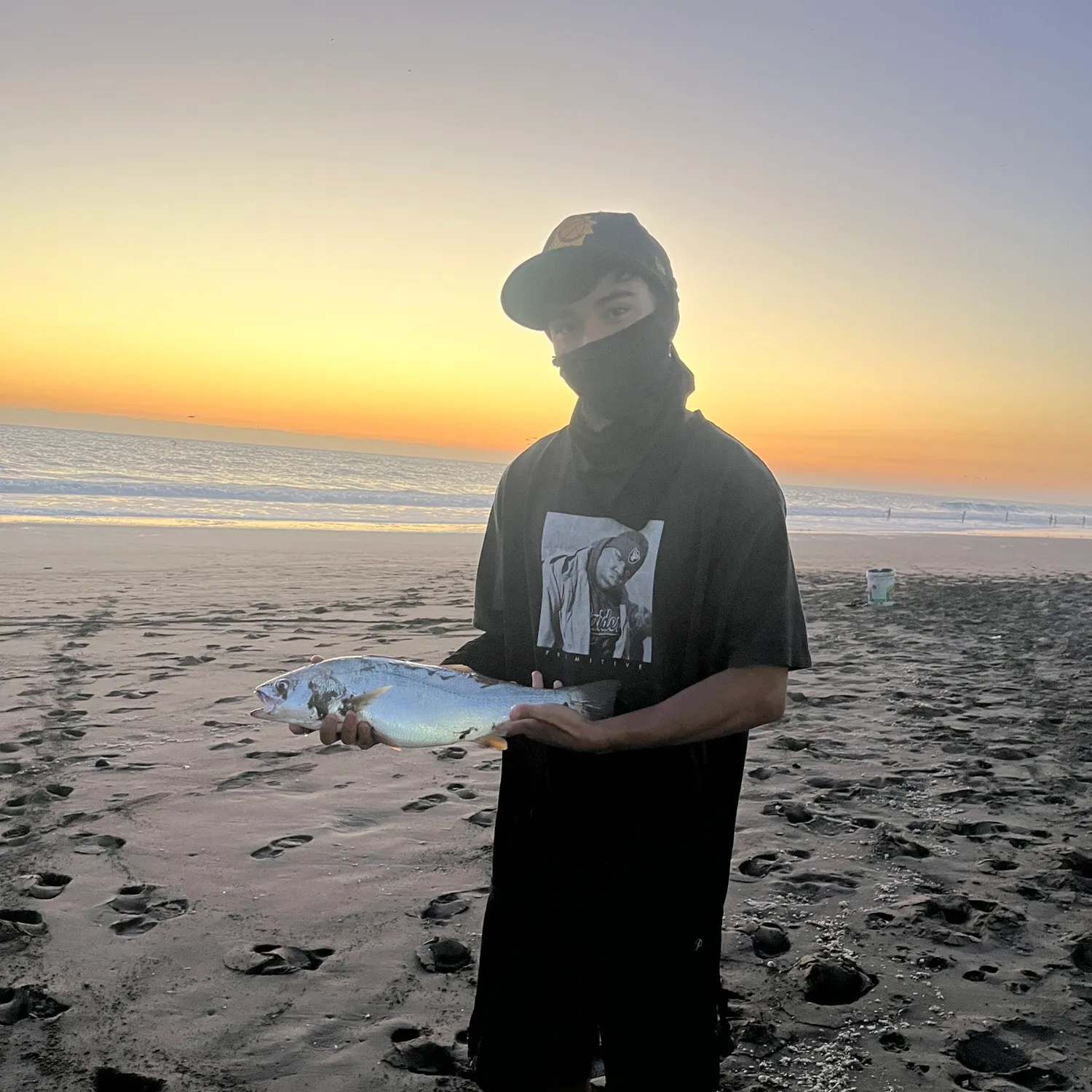 The most recent Striped corvina catches on Fishbrain