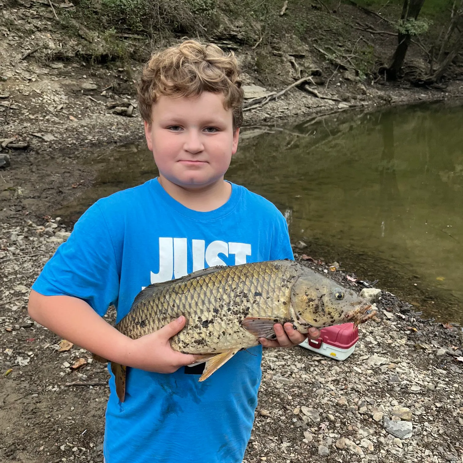 Common carp caught on Fishbrain