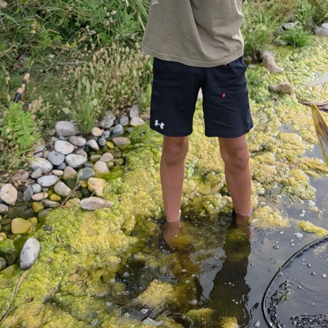 Rainbow trout caught on Fishbrain