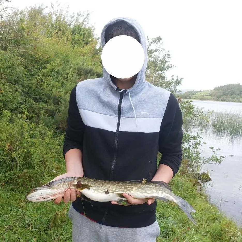 Northern pike caught on Fishbrain