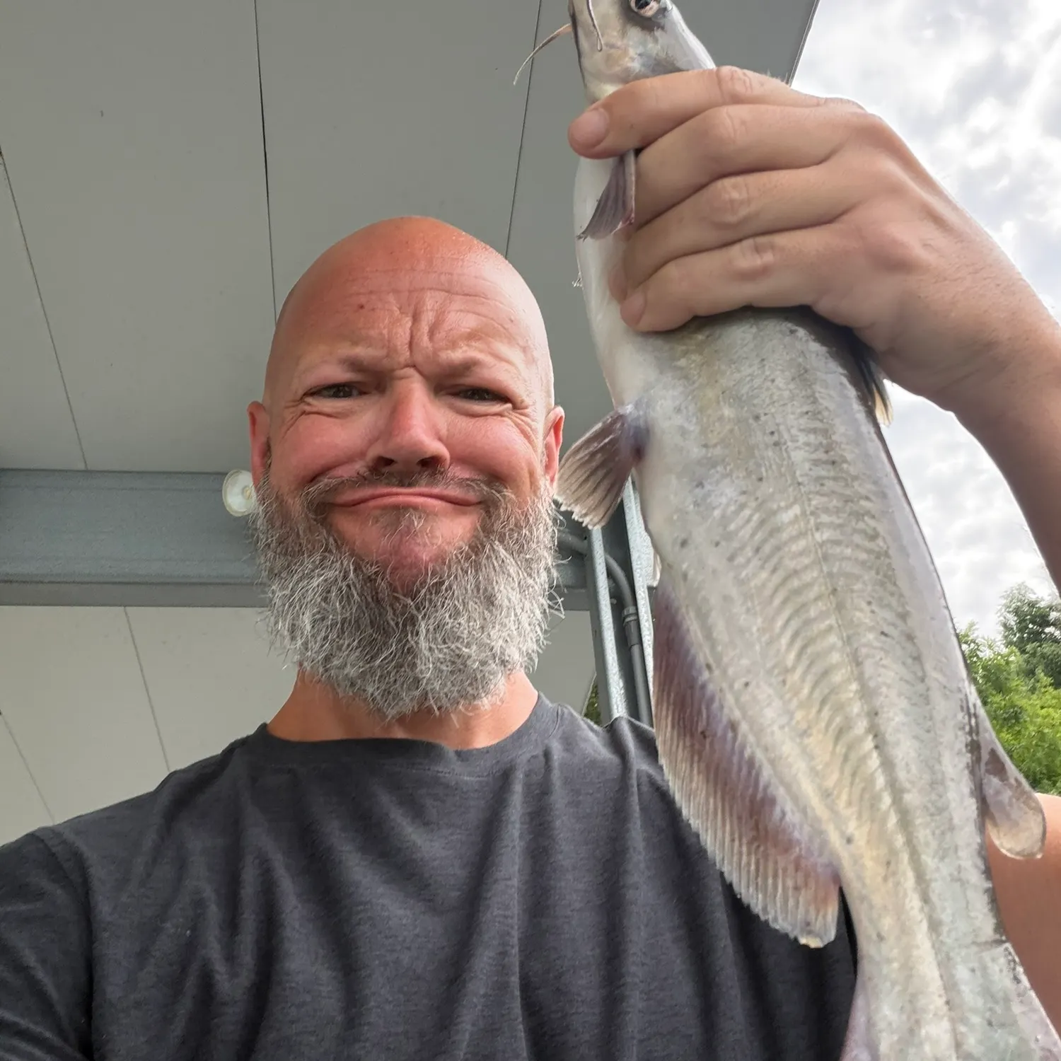 Channel catfish caught on Fishbrain