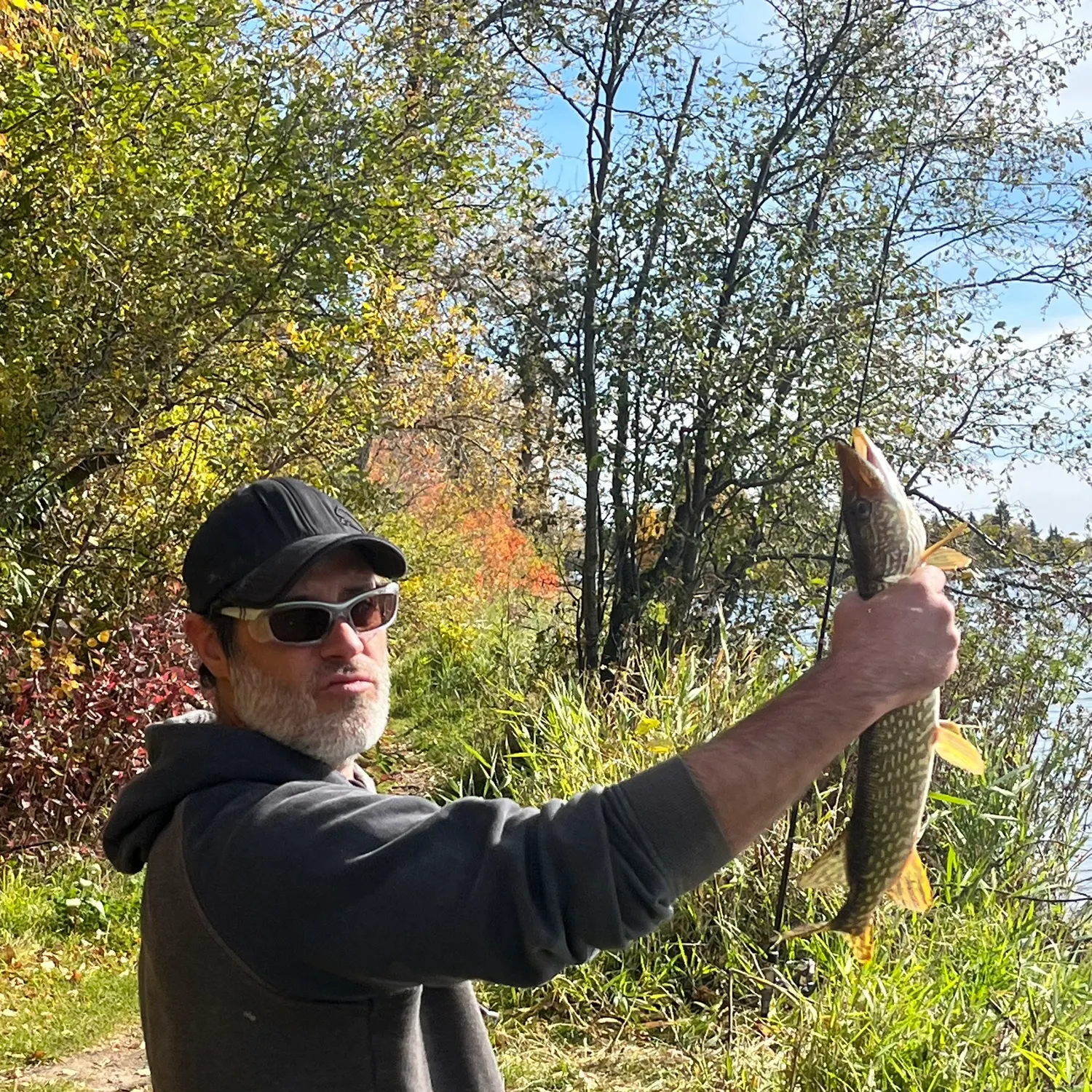 Northern pike caught on Fishbrain