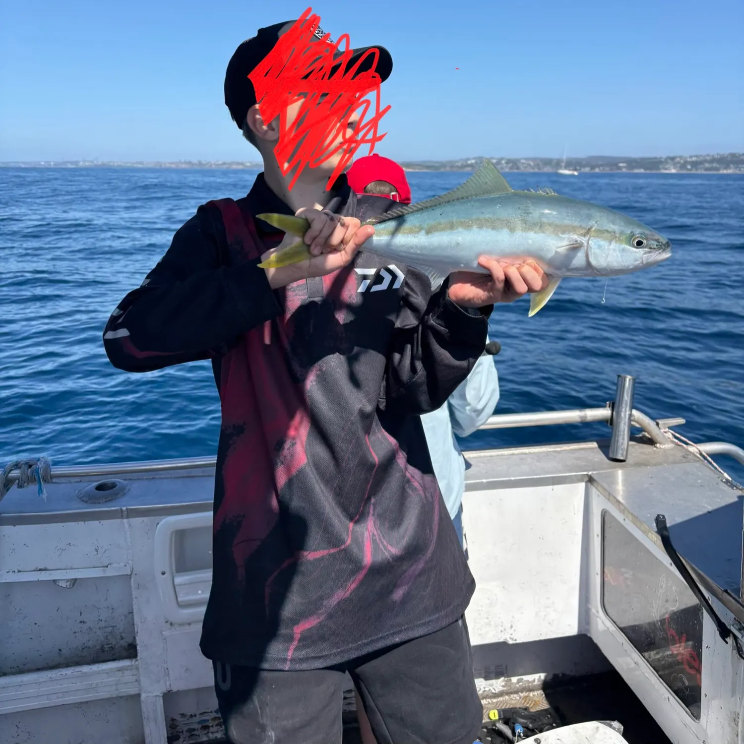 Southern yellowtail amberjack caught on Fishbrain
