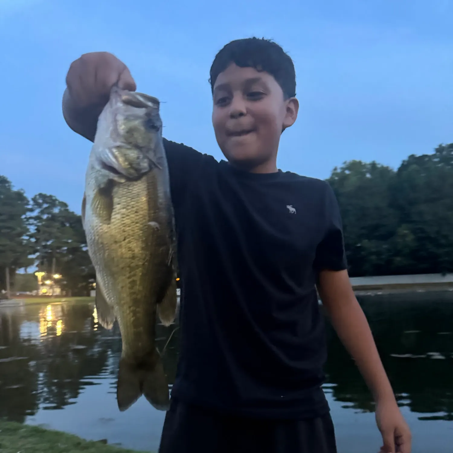 Largemouth bass caught on Fishbrain