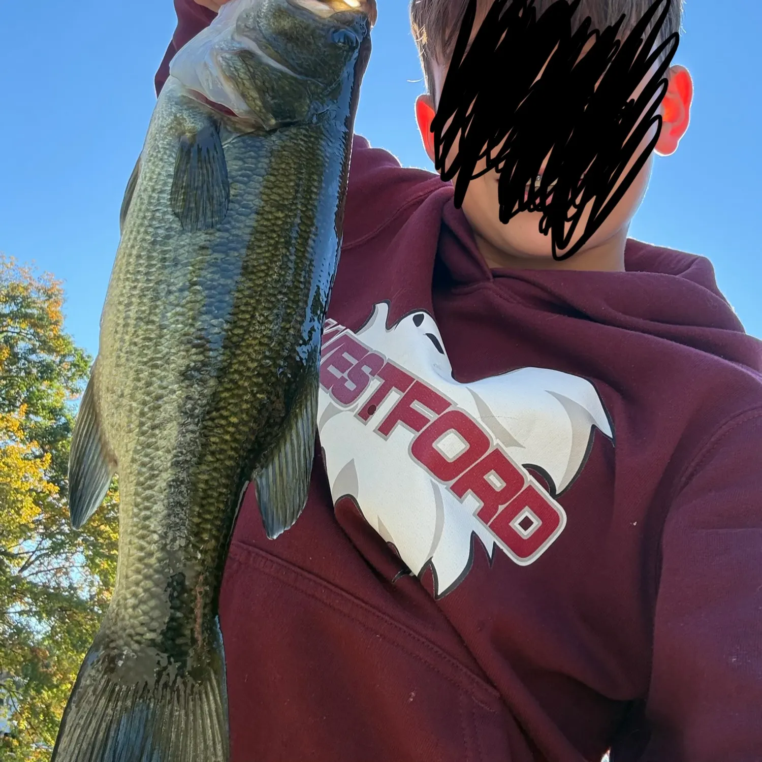 Largemouth bass caught on Fishbrain