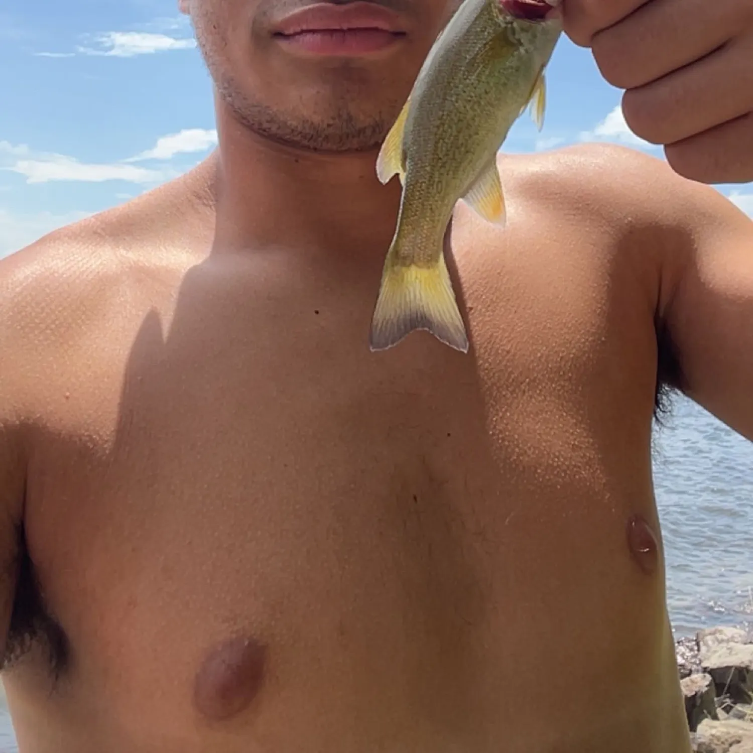 The most recent Smallmouth bass catches on Fishbrain