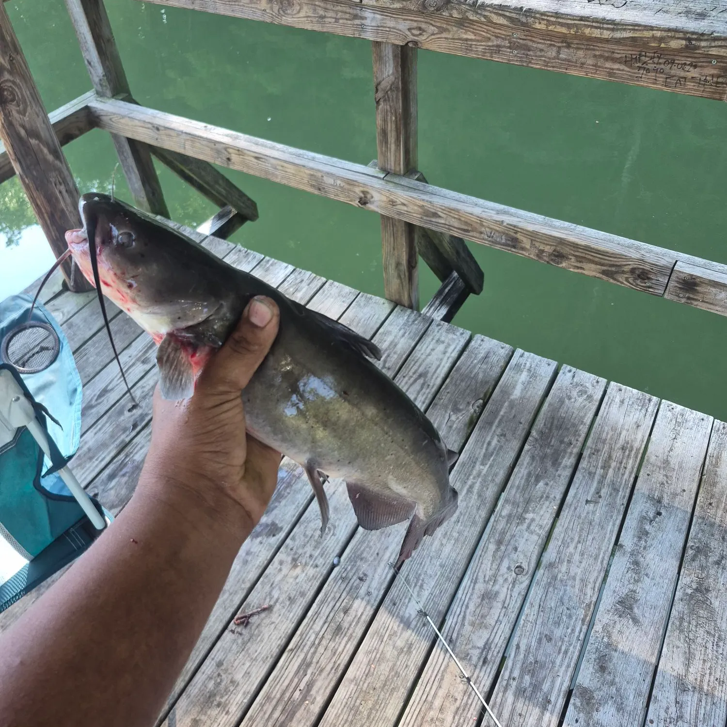 catch