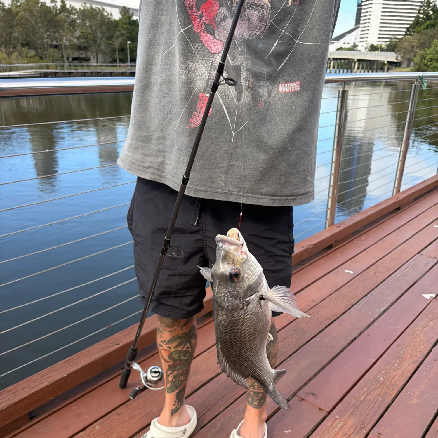 catch