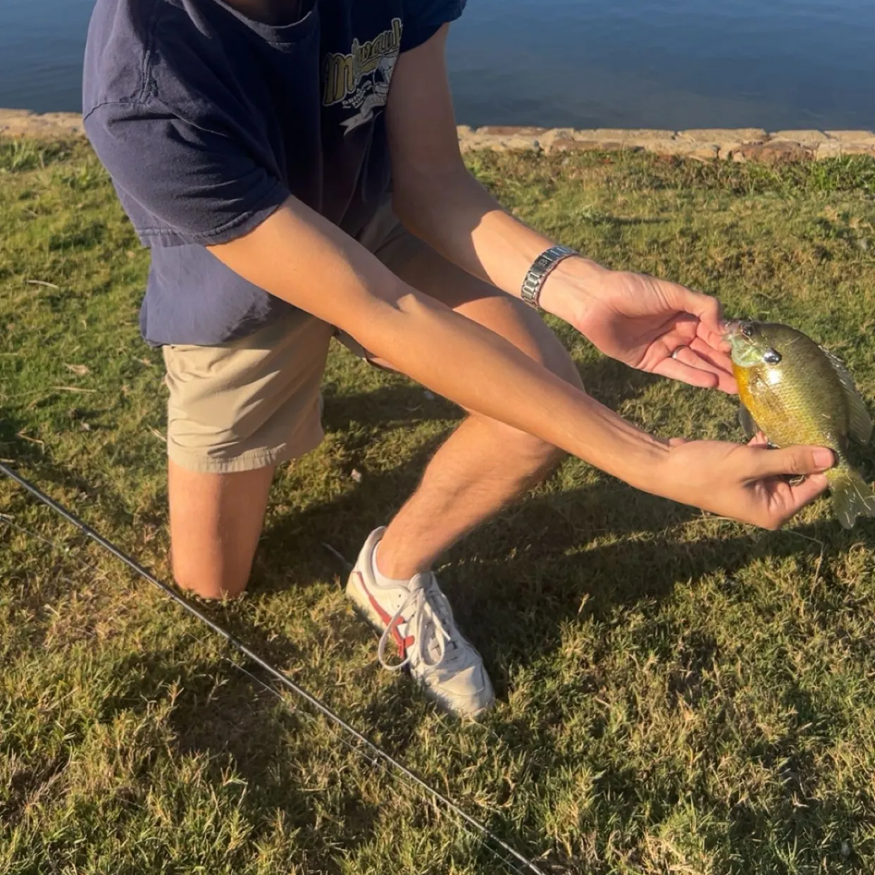 Bluegill caught on Fishbrain