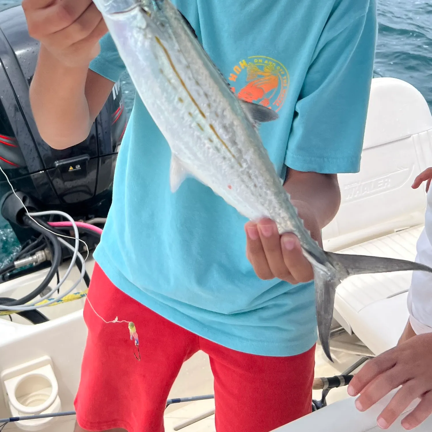 The most recent Cero mackerel catches on Fishbrain