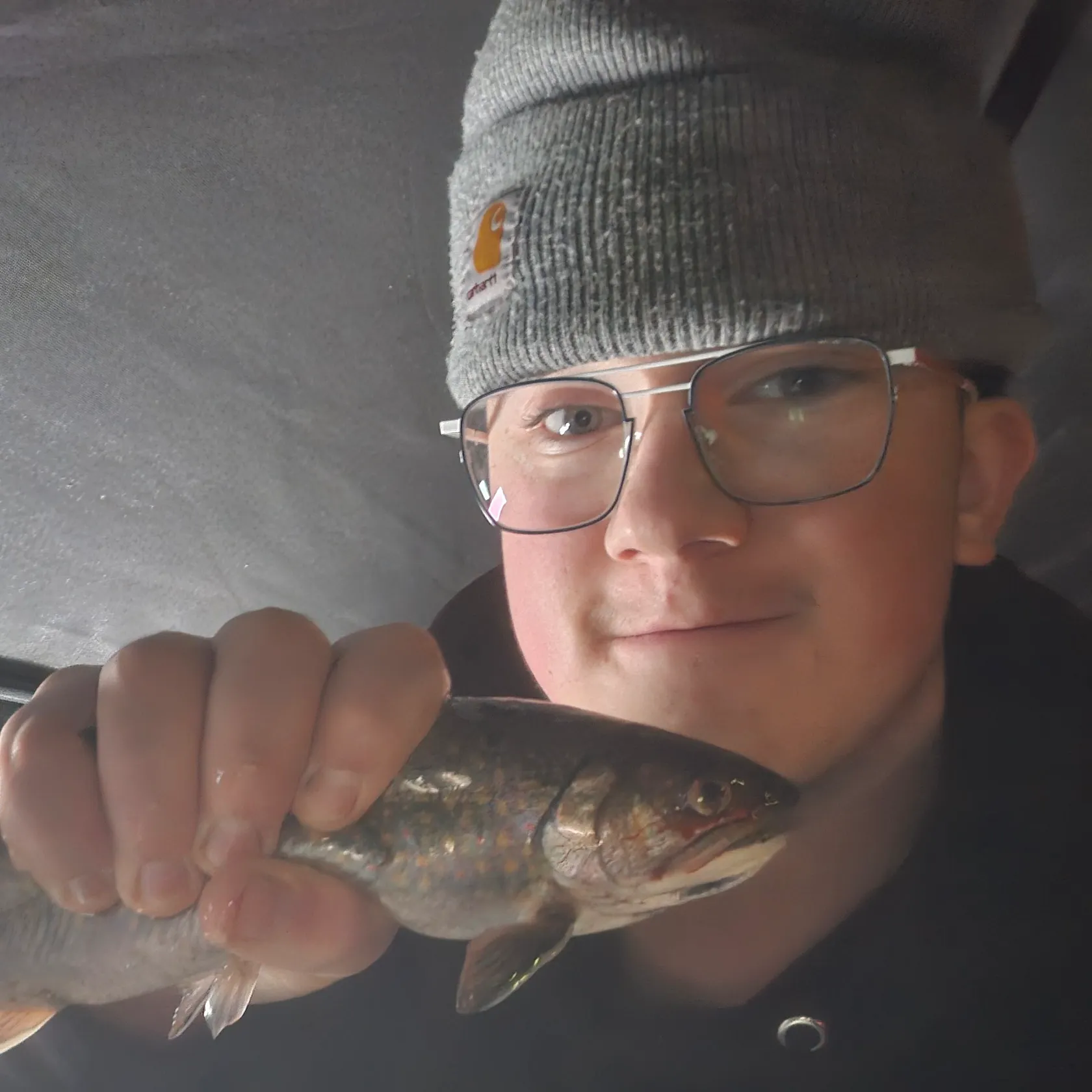 The most recent Brook trout catches on Fishbrain