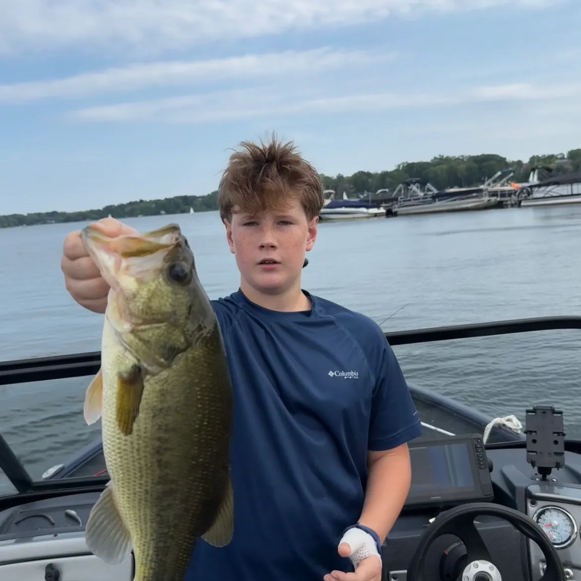 Largemouth bass caught on Fishbrain