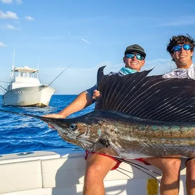 The most recent Atlantic sailfish catches on Fishbrain