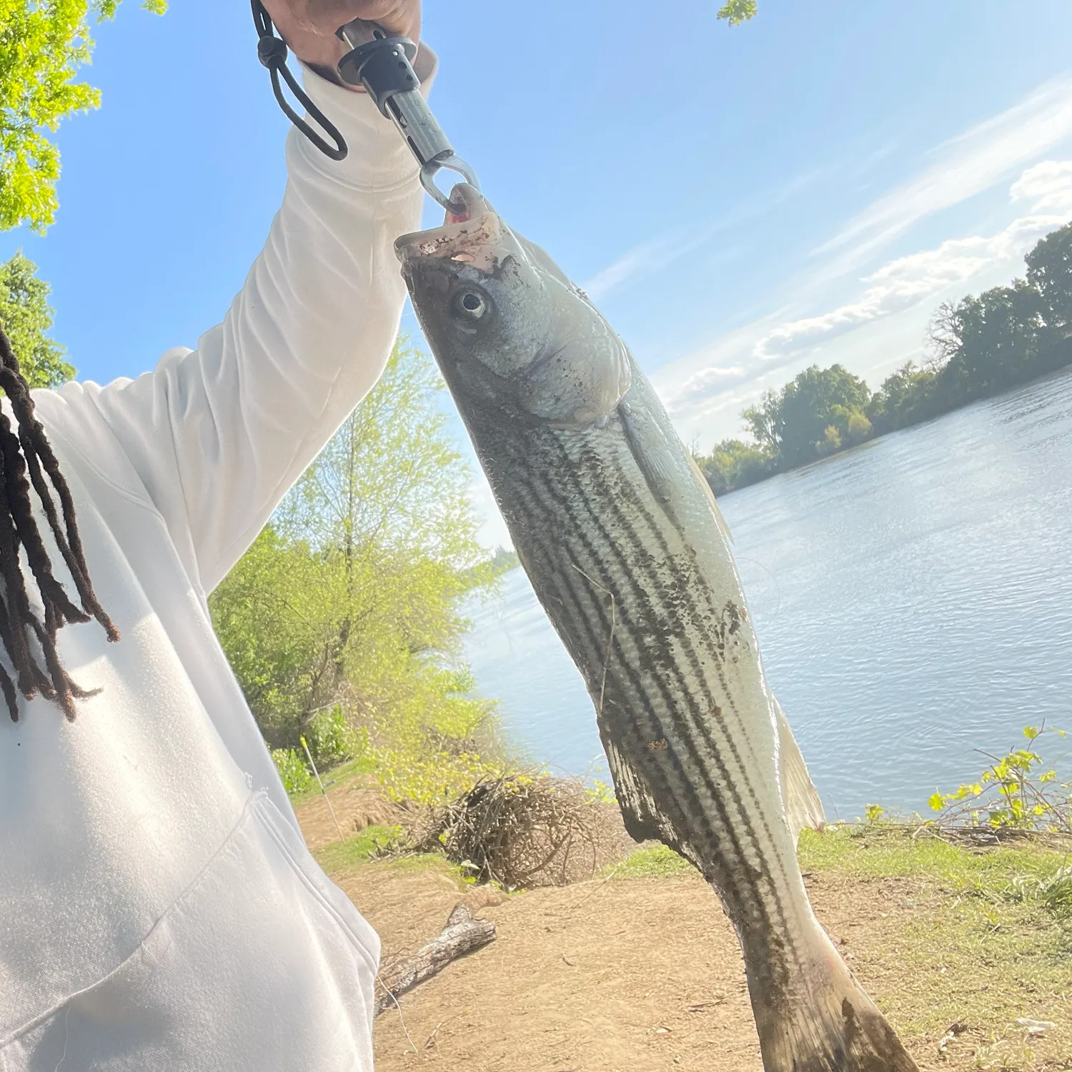 angler catch