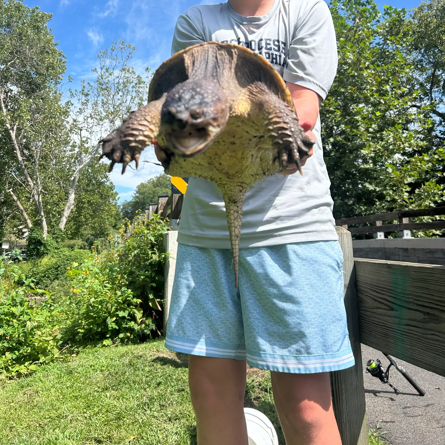Fish caught on Fishbrain