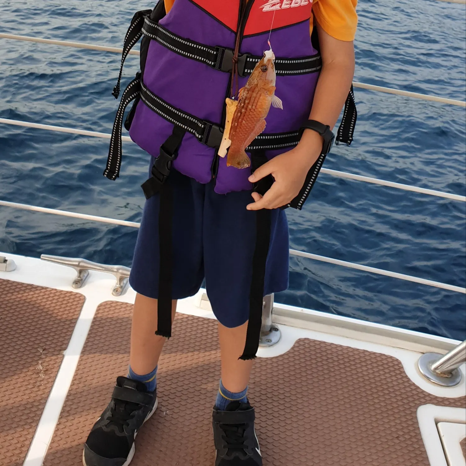 The most recent Red seabream catches on Fishbrain
