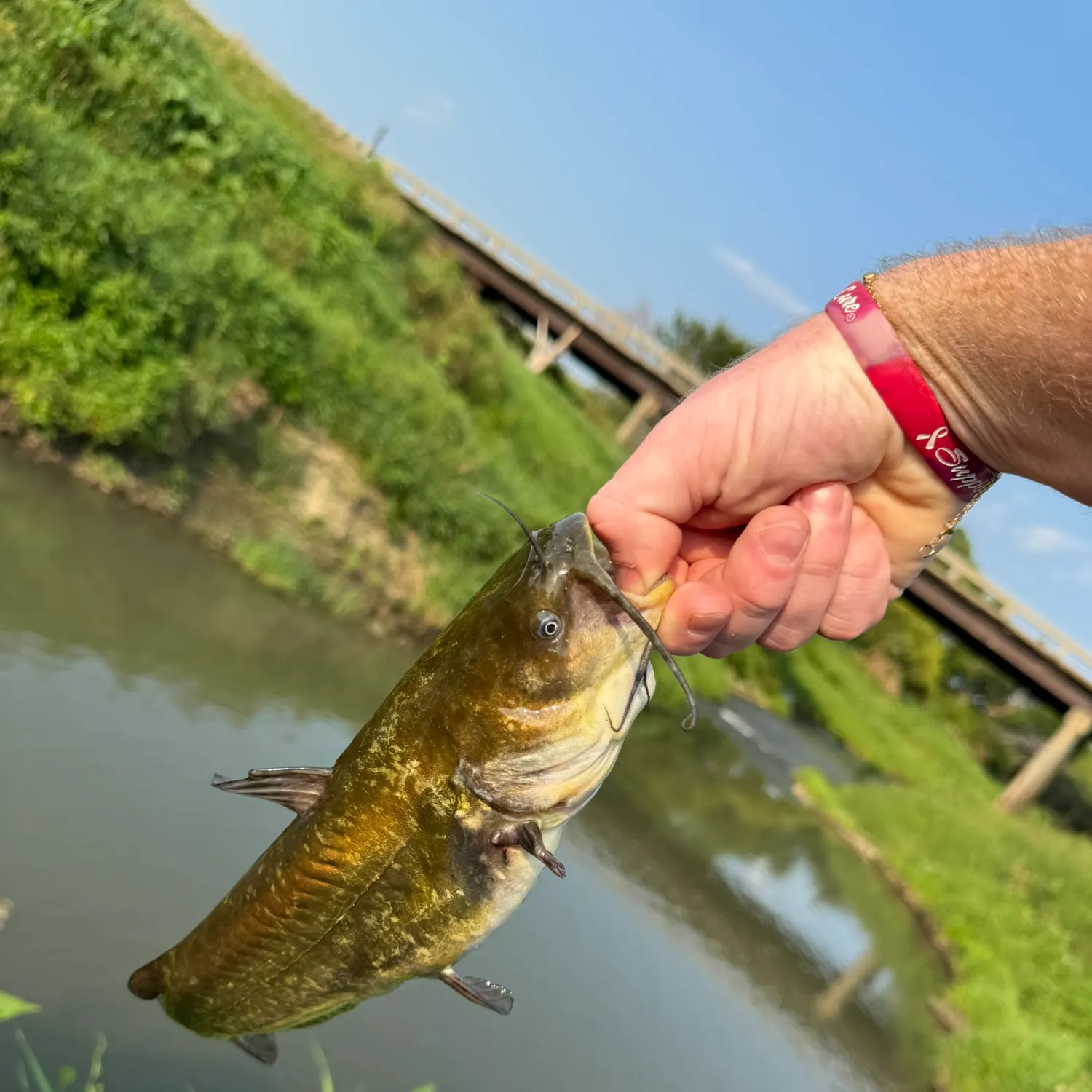 catch