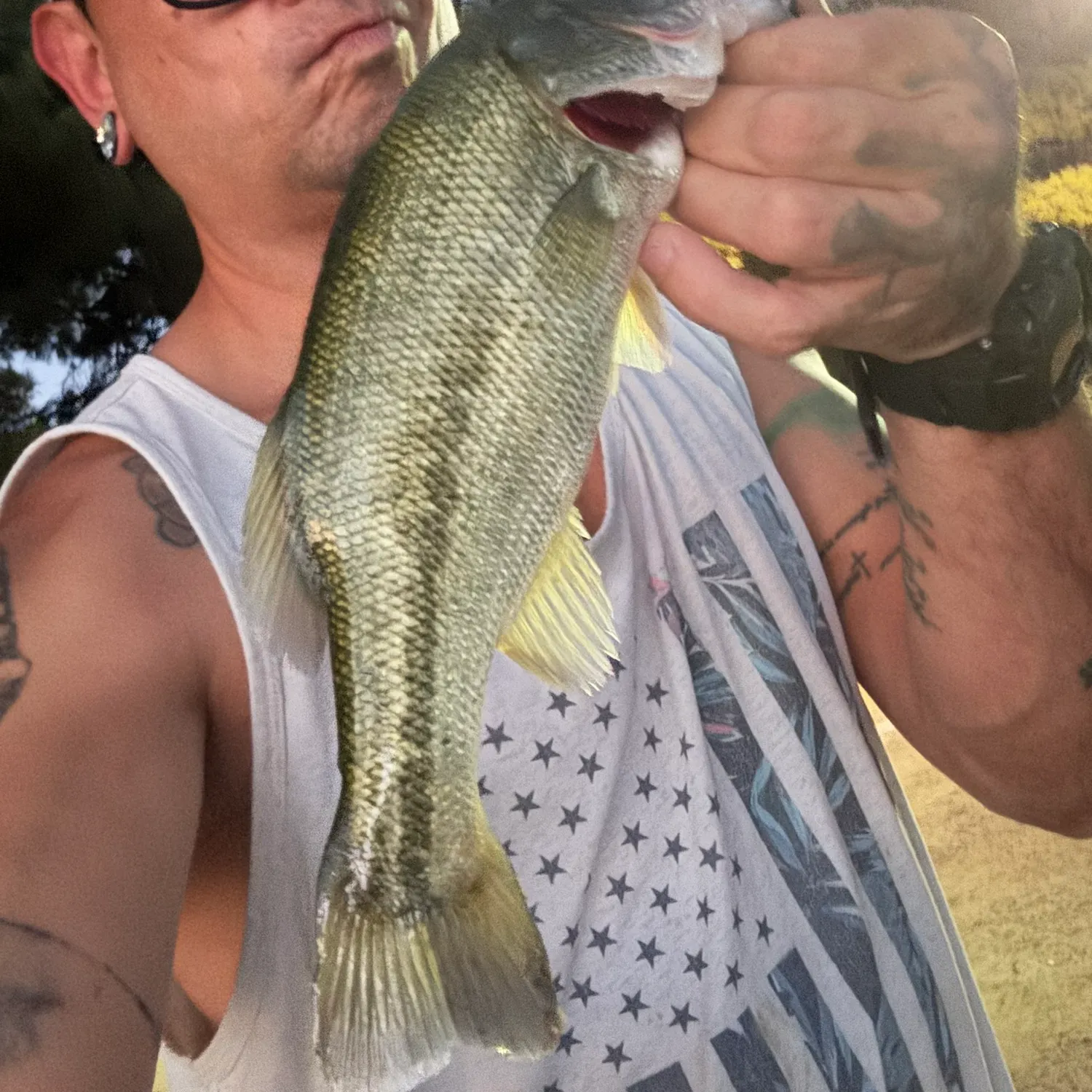 Largemouth bass caught on Fishbrain