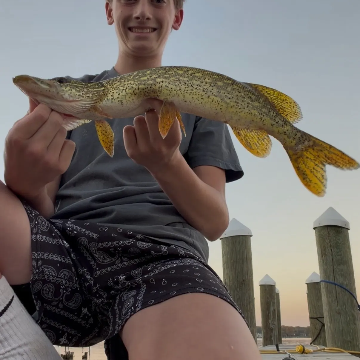Northern pike caught on Fishbrain