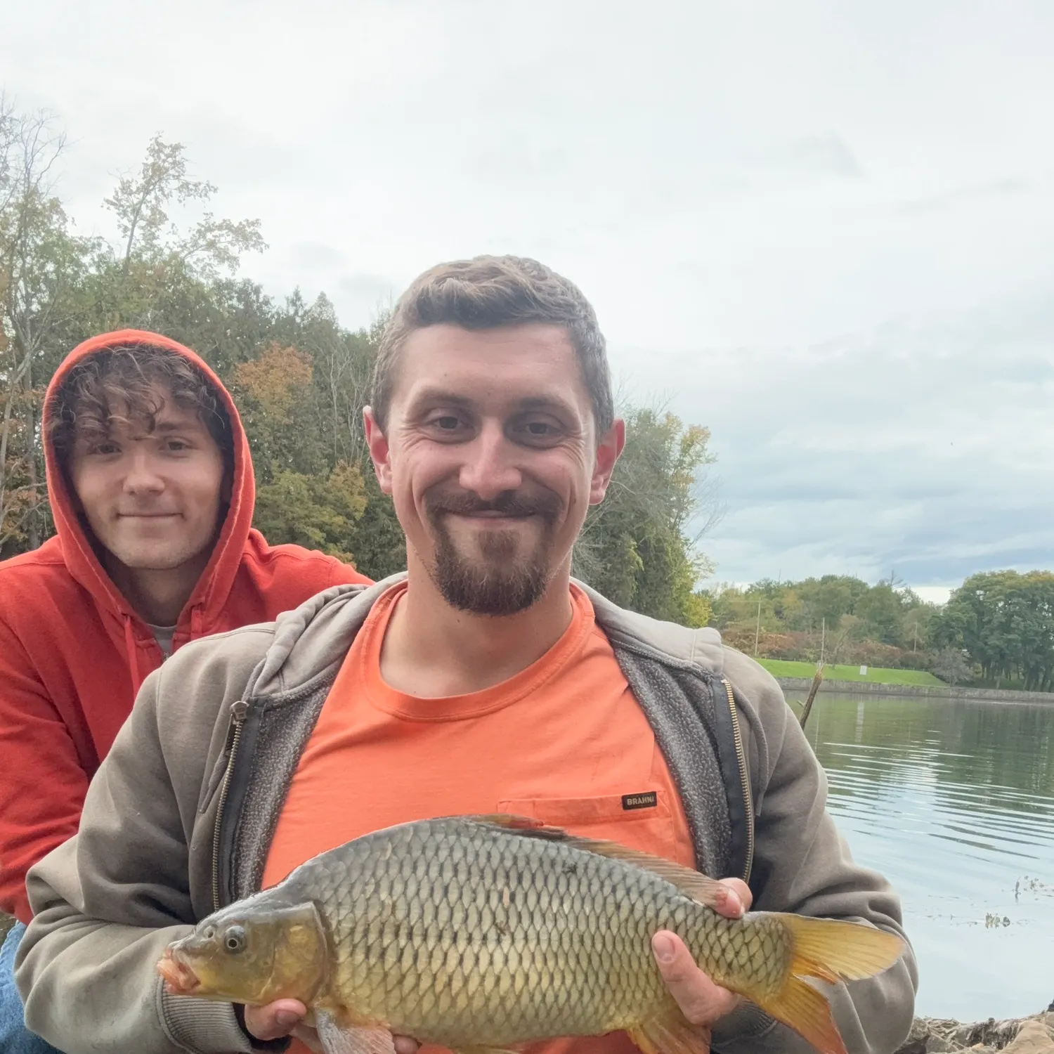 Common carp caught on Fishbrain