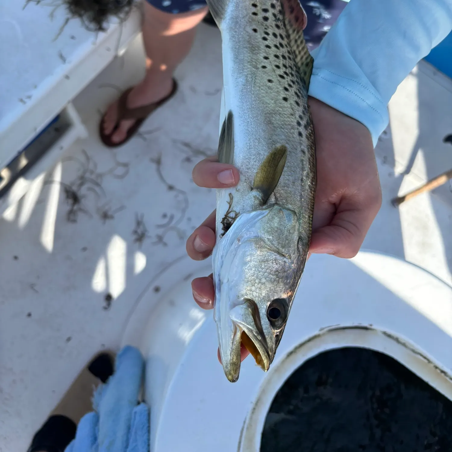 catch