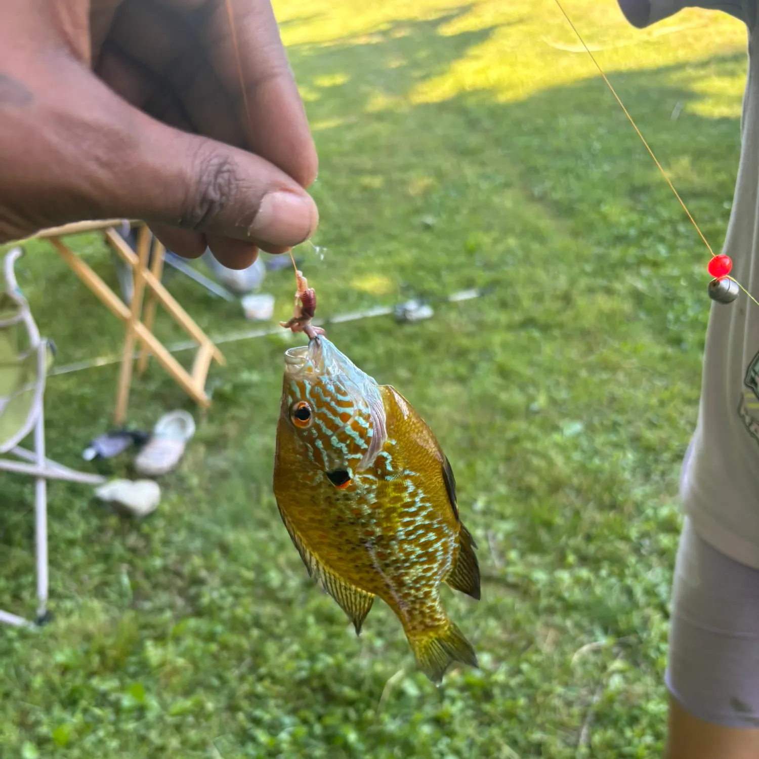 catch