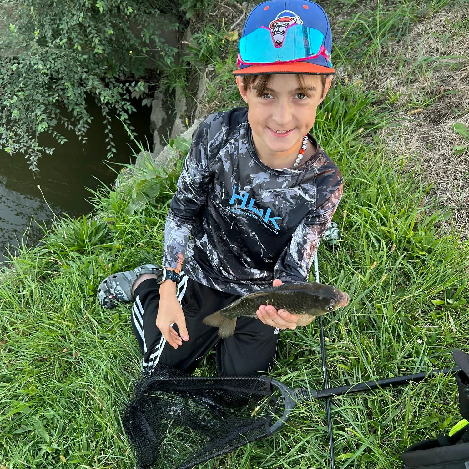 Common carp caught on Fishbrain