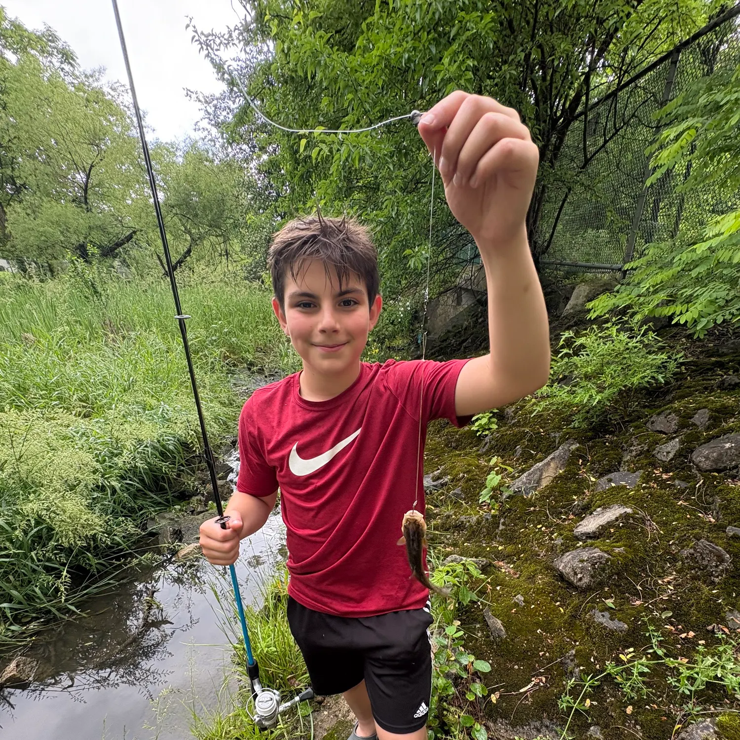 The most recent Striped seaperch catches on Fishbrain