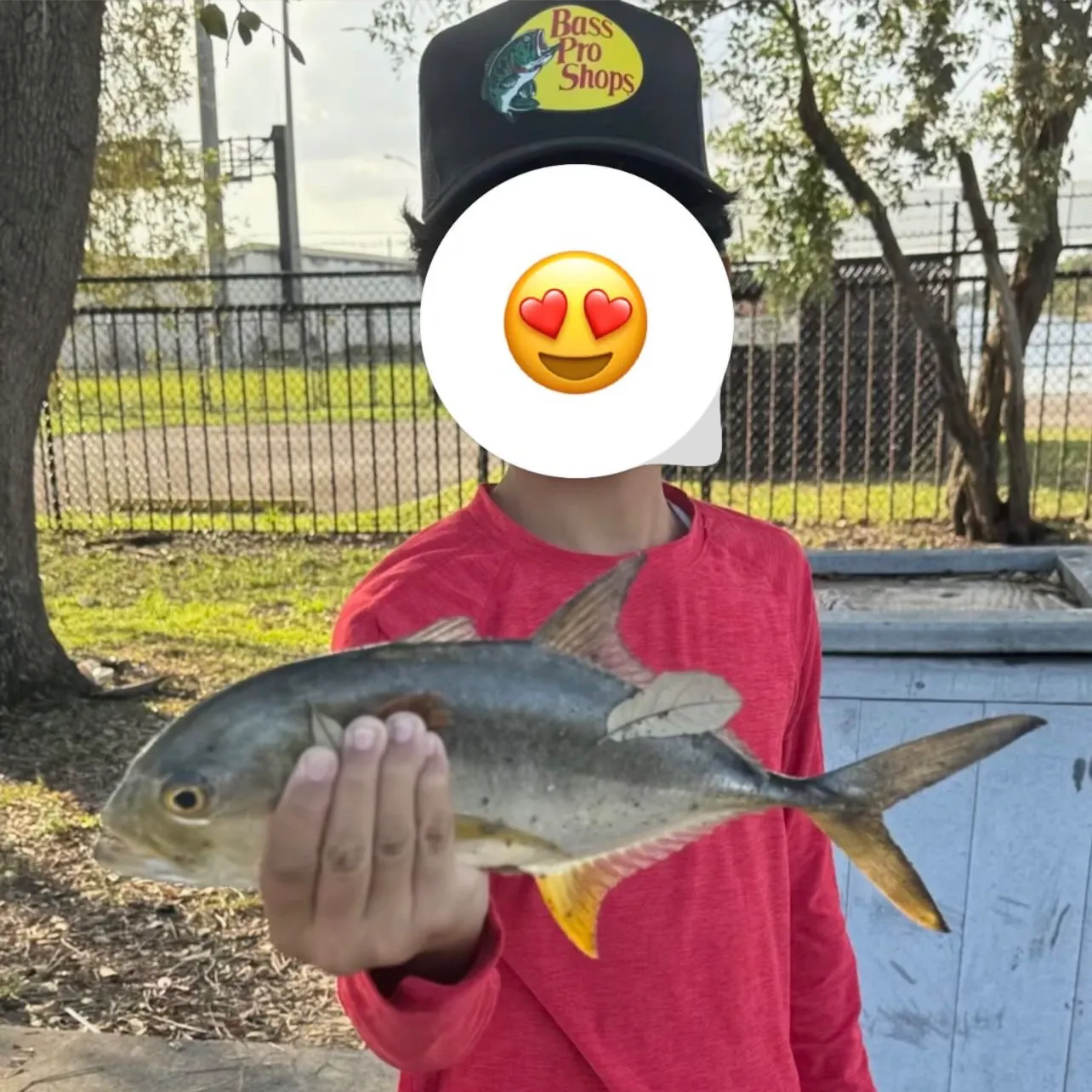 The most recent Crevalle jack catches on Fishbrain