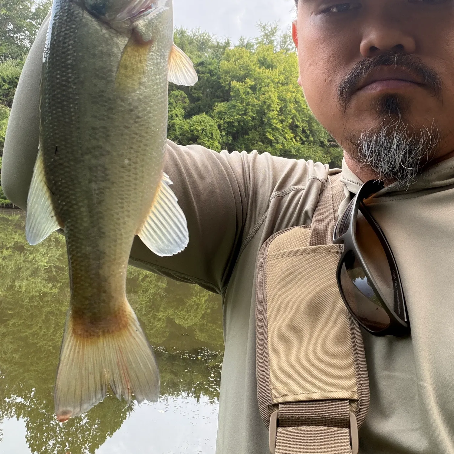 Largemouth bass caught on Fishbrain