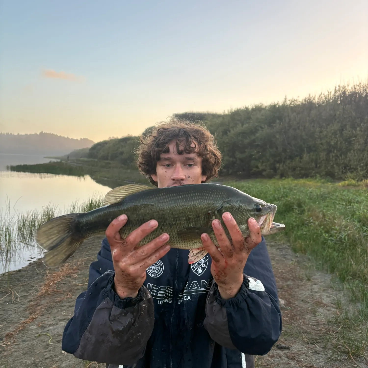 Largemouth bass caught on Fishbrain
