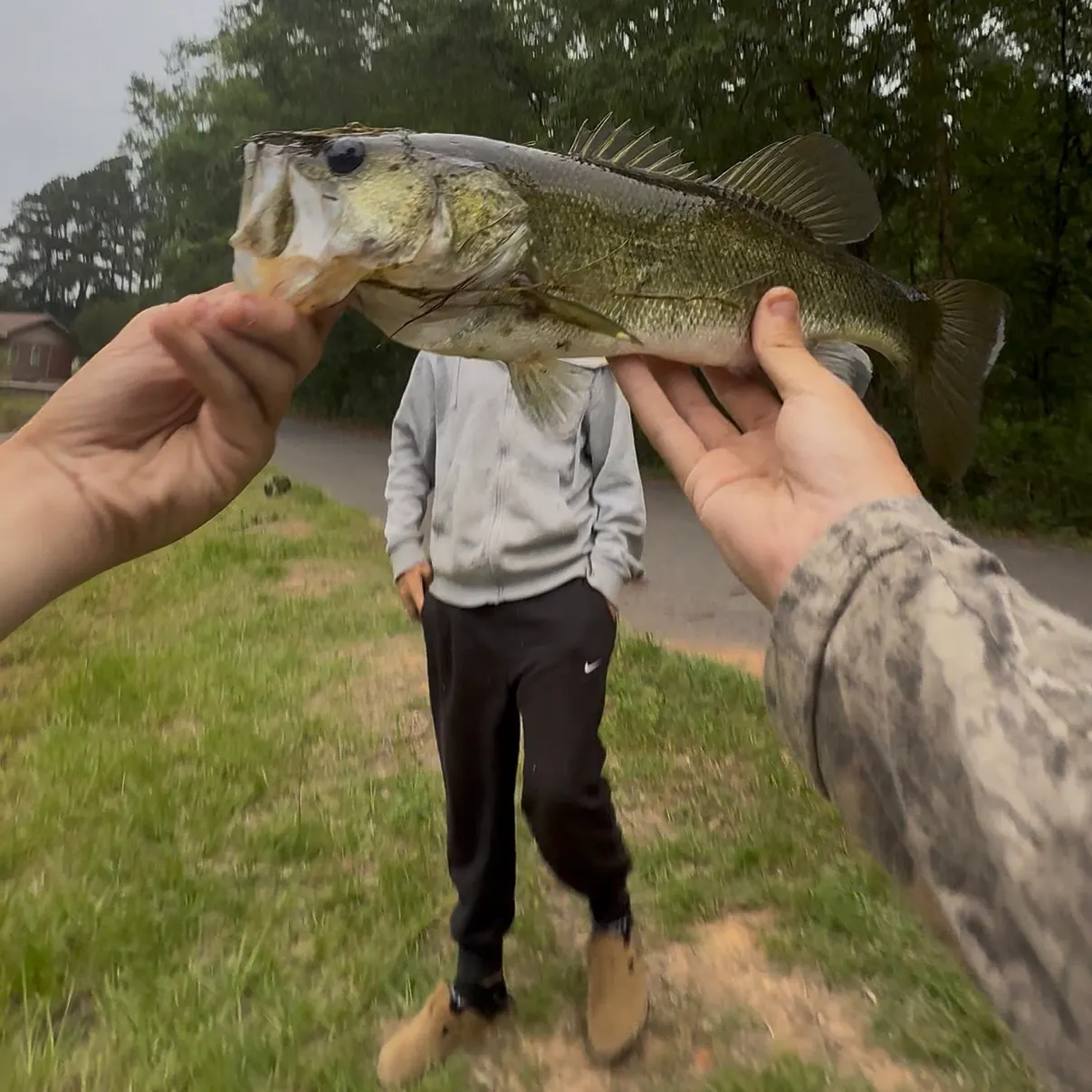 catch