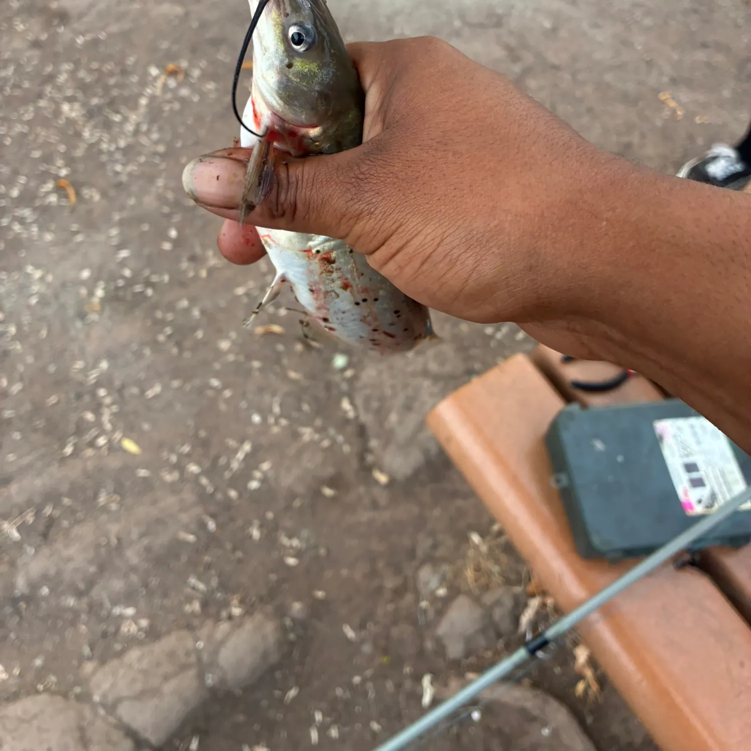 catch