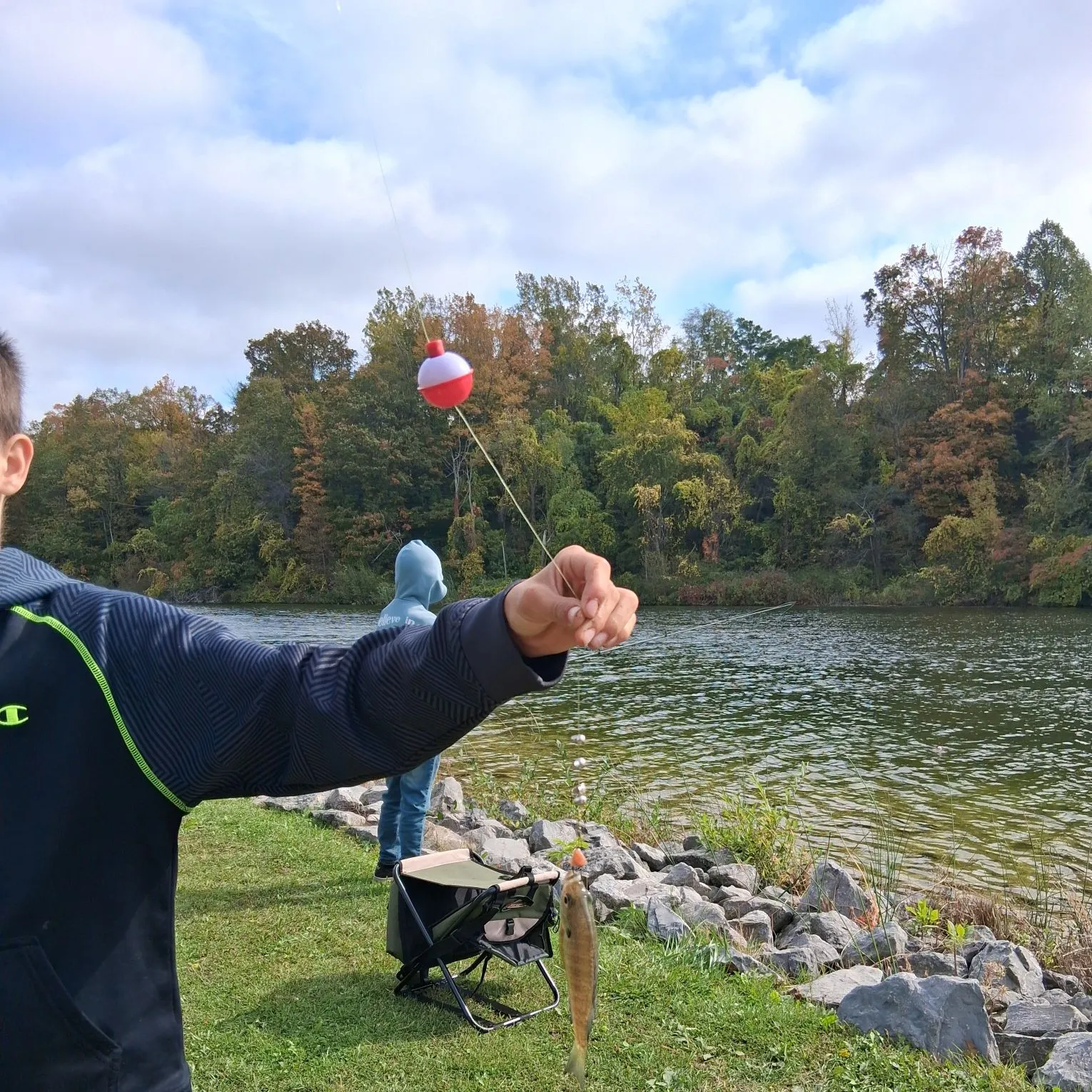 Bluegill caught on Fishbrain