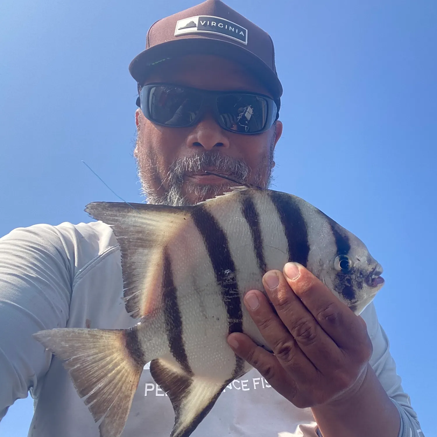 The most recent Atlantic spadefish catches on Fishbrain