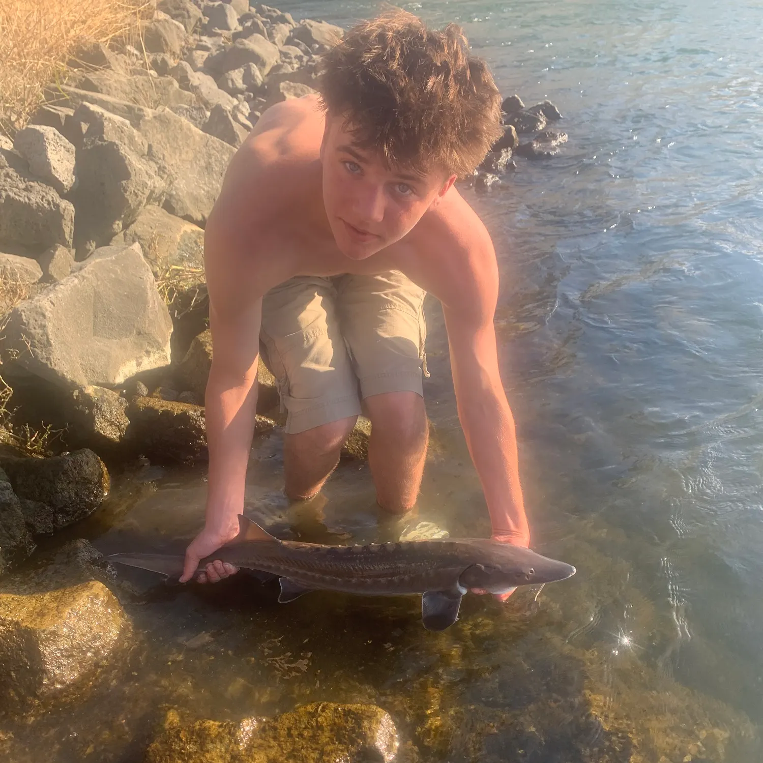 White sturgeon caught on Fishbrain