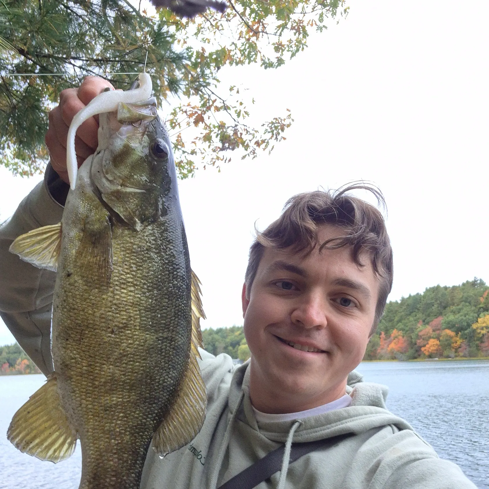 Smallmouth bass caught on Fishbrain