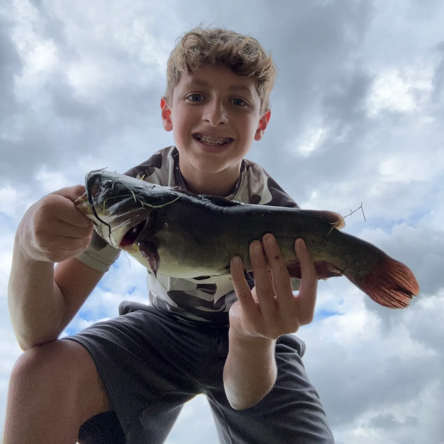 Black bullhead caught on Fishbrain