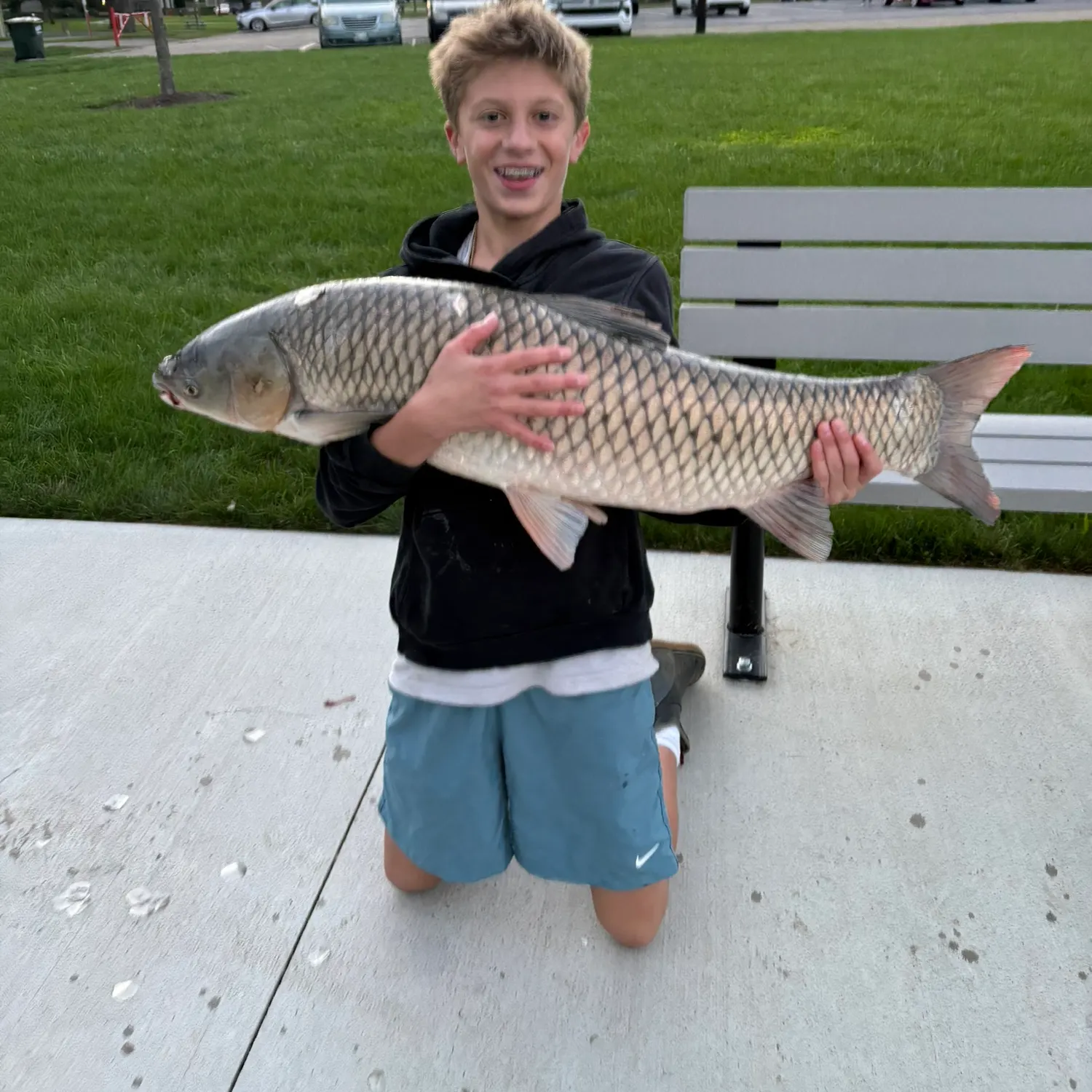 The most recent Grass carp catches on Fishbrain