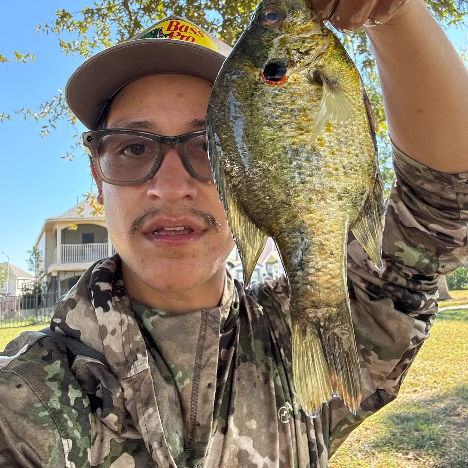 Redear sunfish caught on Fishbrain