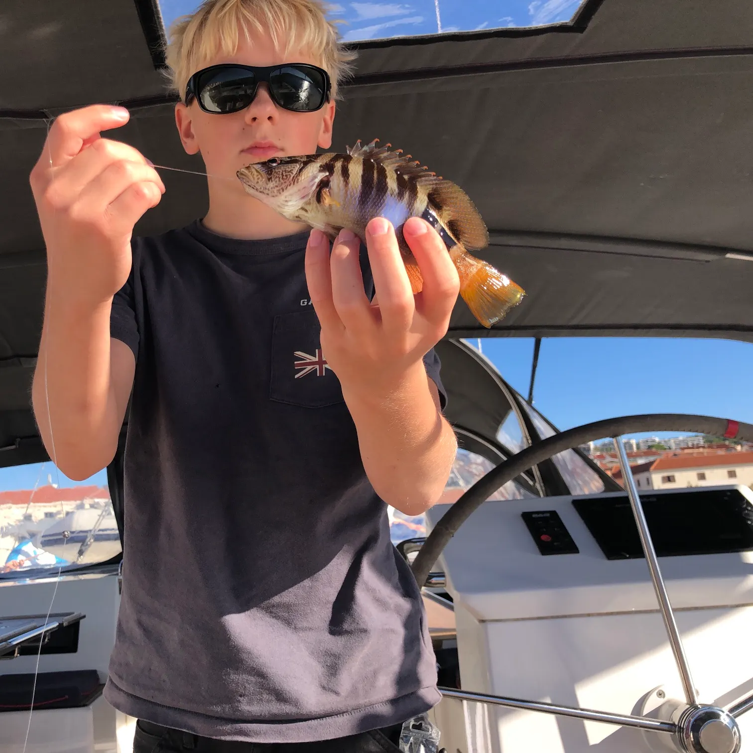 Painted comber caught on Fishbrain