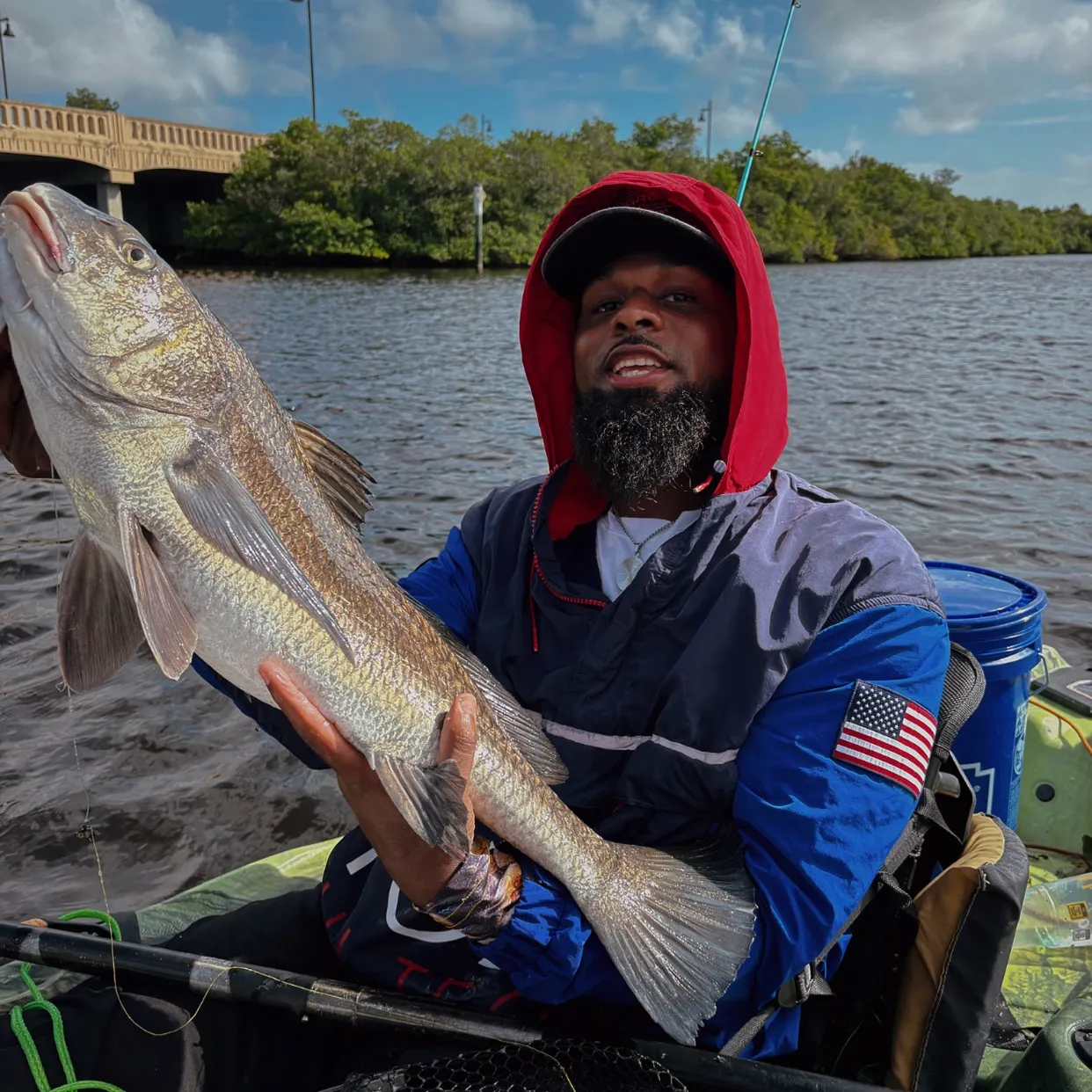 Black drum caught on Fishbrain